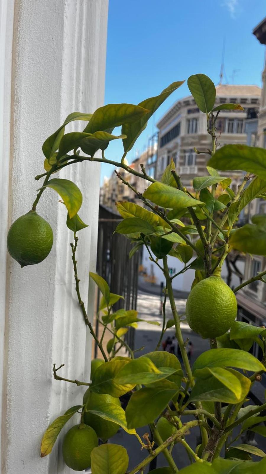 Hotel El Siglo Valencia Kültér fotó